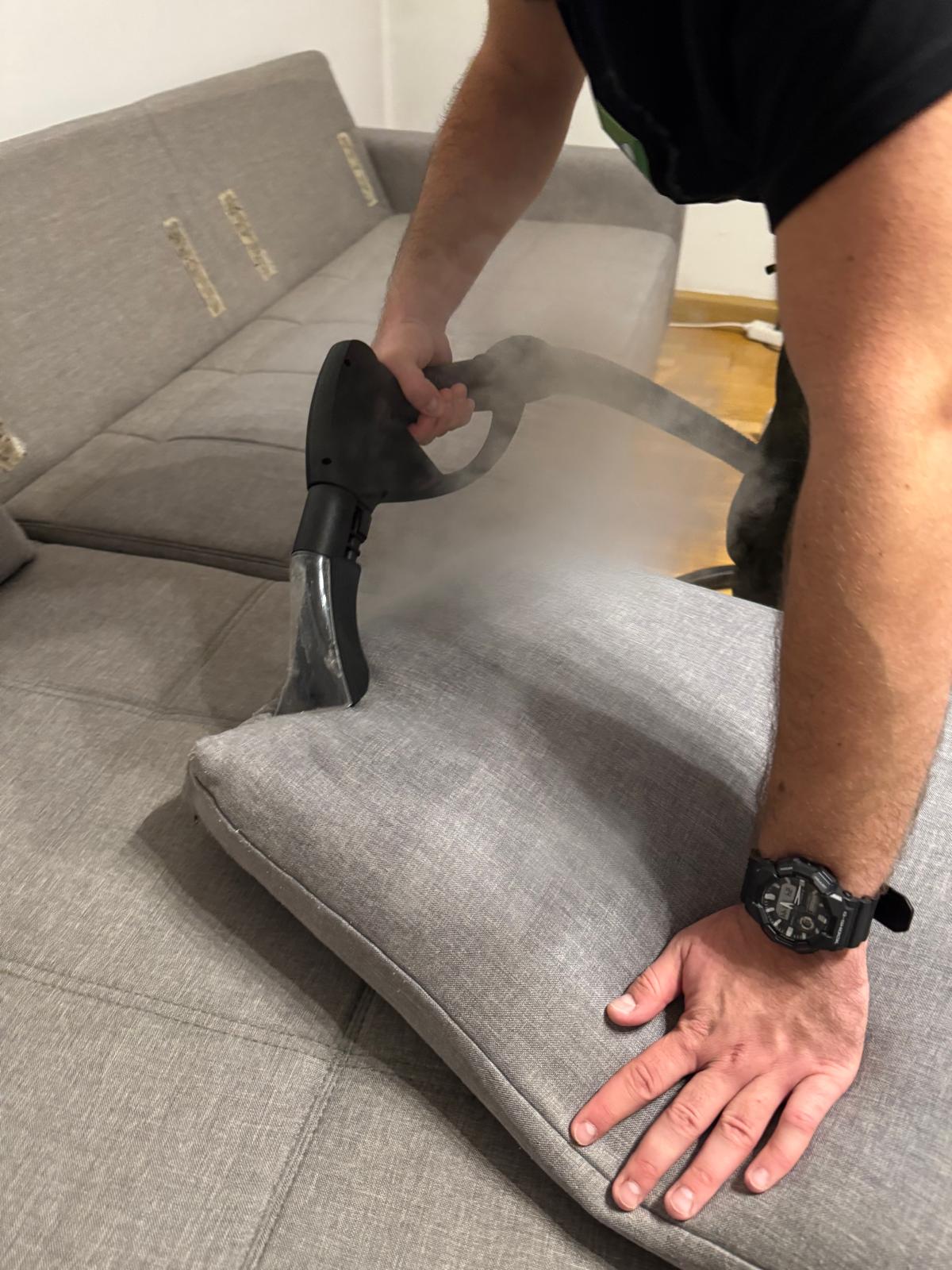Waschbären Mitarbeiter bei der Reinigung eines Sofas